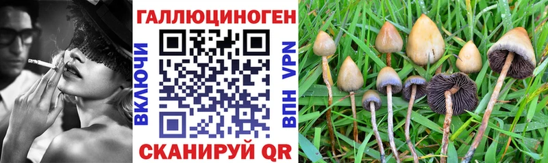Галлюциногенные грибы мицелий  даркнет телеграм  Любим 